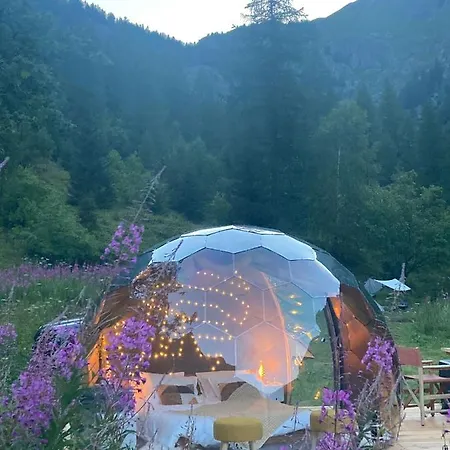 Luxury tent The Lynx *