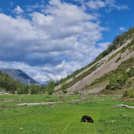 Роскошный шатер The Lynx Salvan