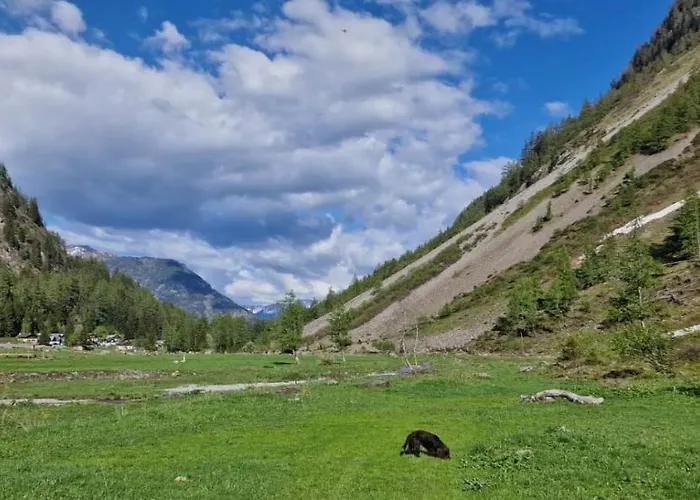 Luxury tent The Lynx Salvan